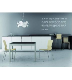 silla-tapizada-apilable-comedor