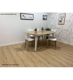 mesa-redonda-1-extensión