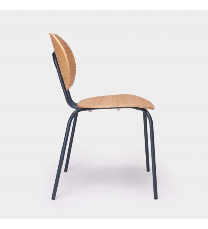 Chaise Hari en chêne verni empilable avec pieds en métal  - 10