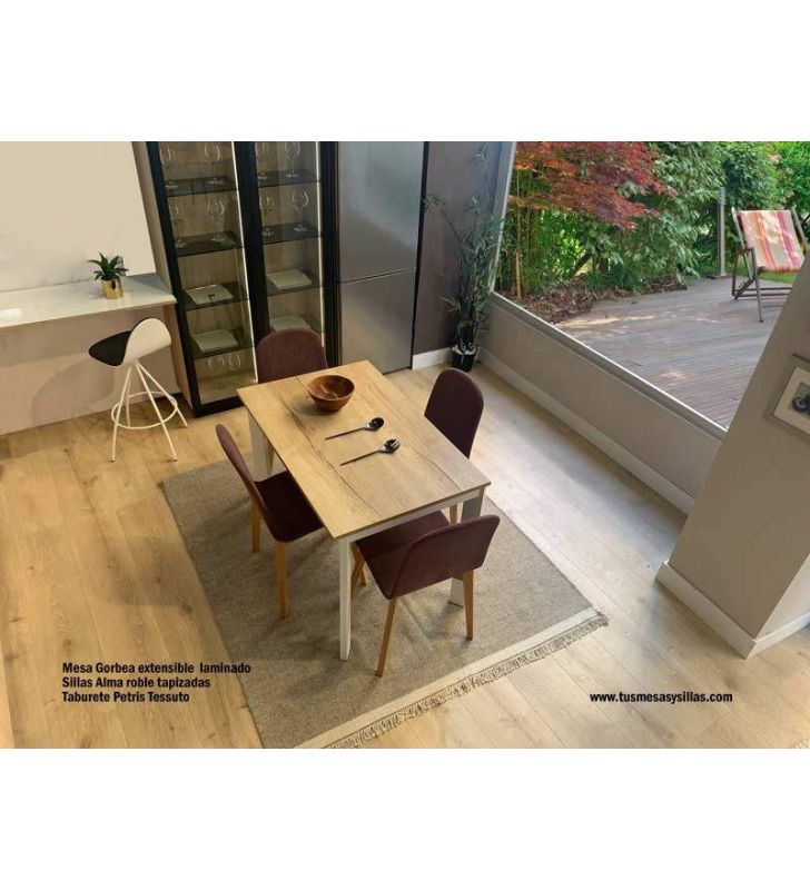 mesa-gorbea-2-extensibles