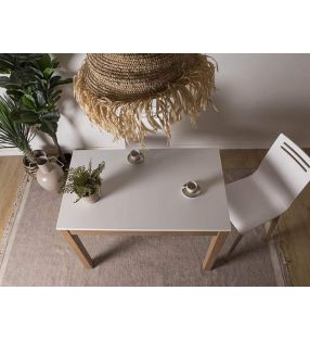 mesa-extensible-frontal