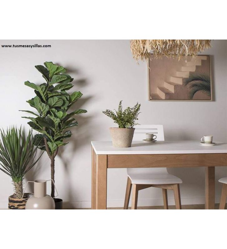 table-bois-blanc
