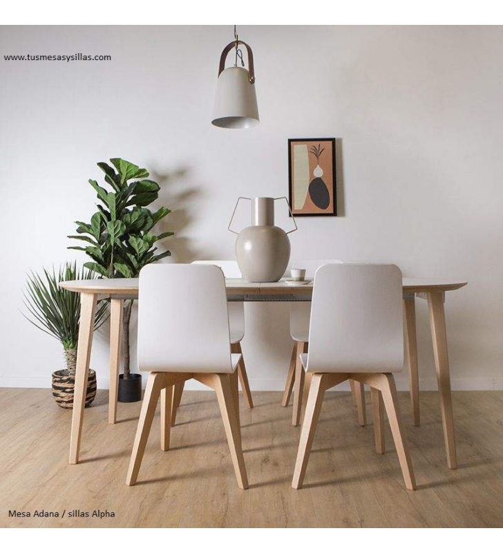 cuisine-table-a-manger-extensible