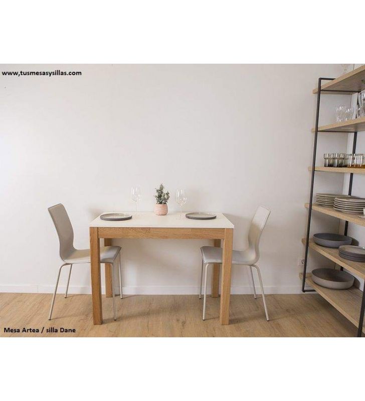 table-etroite-100x50