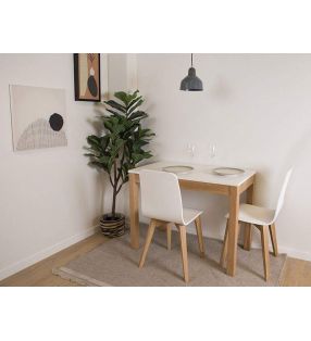 petite-table-de-style-nordique
