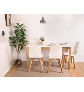 Chaises-de-style-nordique-confortables