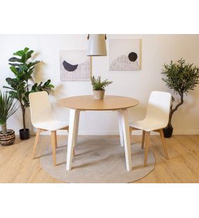 mesa-redonda-100-com