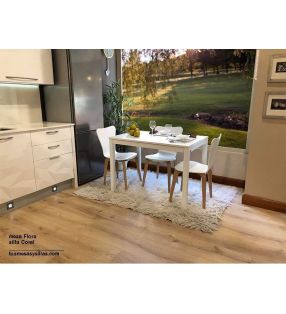 chaises-modèle-corail-table-fleur