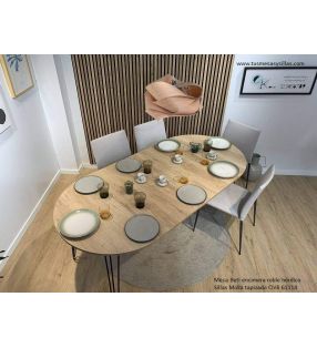 mesa-redonda-2-extensiones [Foto real]