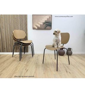 chaise-cuisine-chiens-chats
