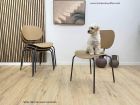 chaise-cuisine-chiens-chats