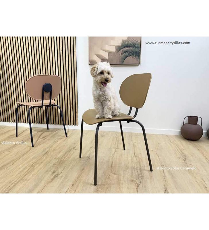 chaises-cuisine-chiens-chats