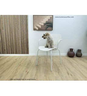 chaises-bras-pour-chats-chiens