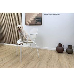 Chaise avec accoudoirs pour maisons avec animaux domestiques, chiens et chats, cuisine - salle à manger  - 3