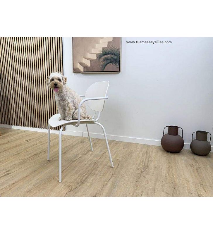 Silla con brazos para casas con mascotas, perros y gatos, cocina - comedor  - 3