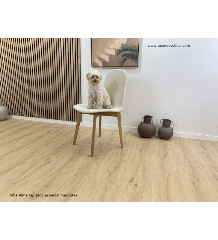 chaise-rembourree-special-animaux