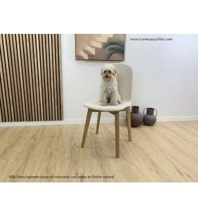 chaises-rembourres-anti-rayures