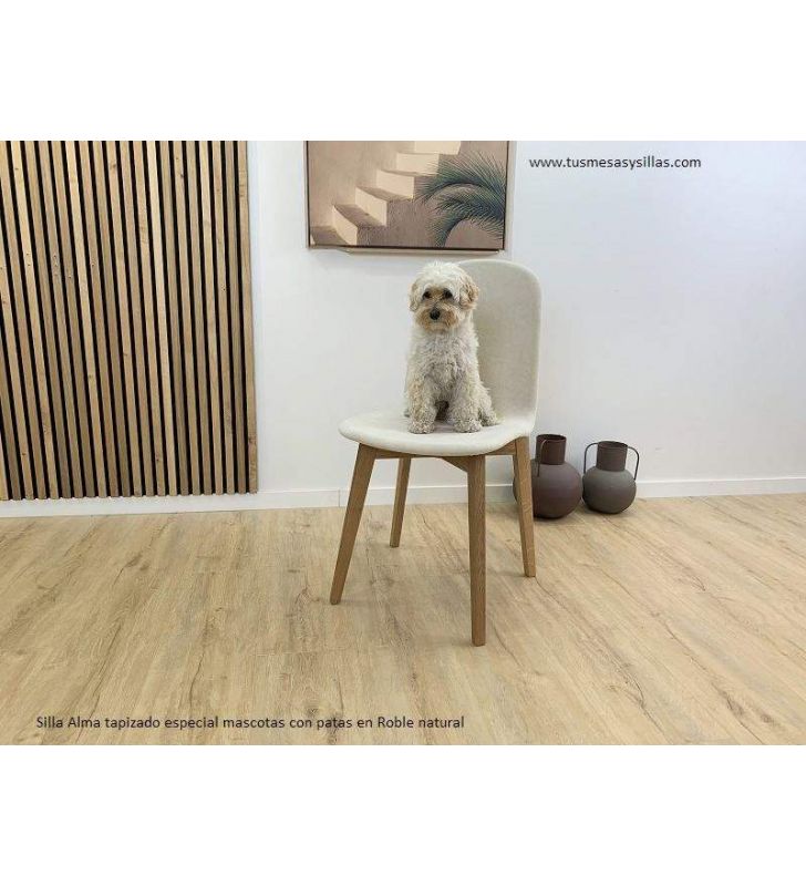 chaises-rembourres-anti-rayures