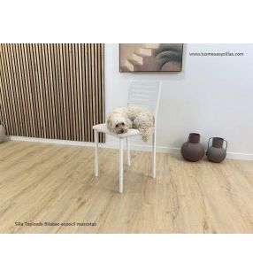 Chaises-cuisine-pas cher-animaux