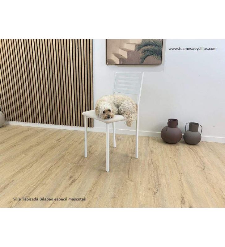 Chaises-cuisine-pas cher-animaux