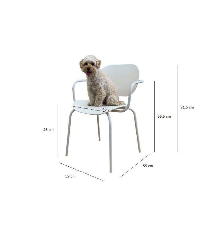 Silla con brazos para casas con mascotas, perros y gatos, cocina - comedor  - 5