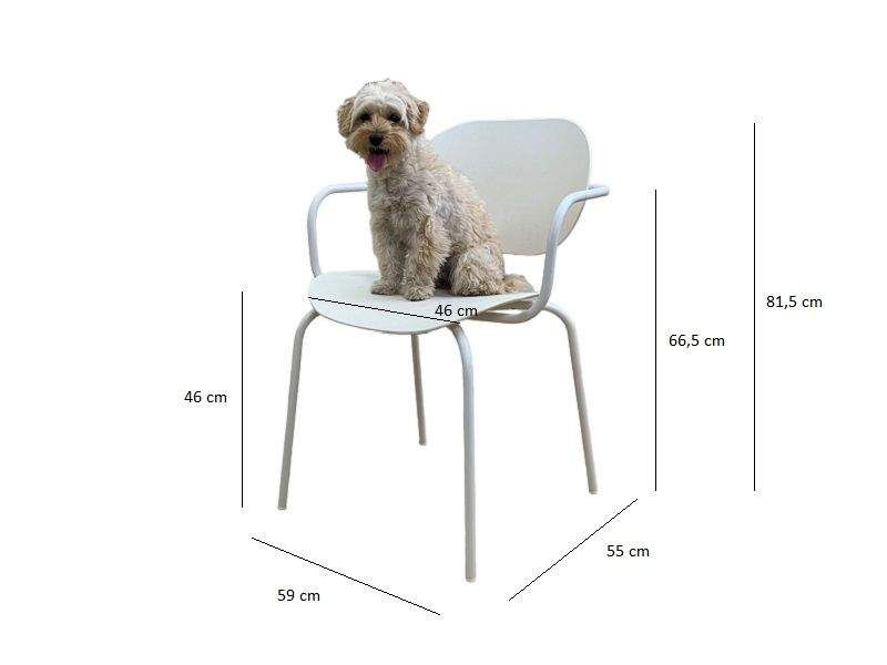 Chaise avec accoudoirs adaptée aux maisons avec chiens et chats