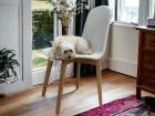 Chaise de salle à manger rembourrée pour les maisons avec animaux de compagnie, chiens ou chats, Alma  - 8