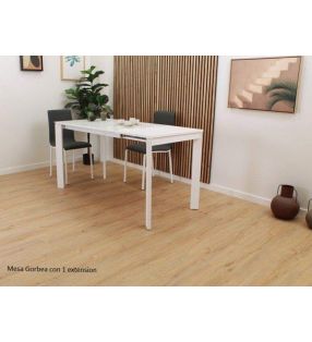 Table-110x70-avec-1-rallonge