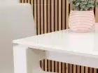 tables-de-salle-a-manger-plateau-en-verre