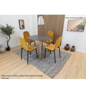 Chaises-meilleur-prix-Moly