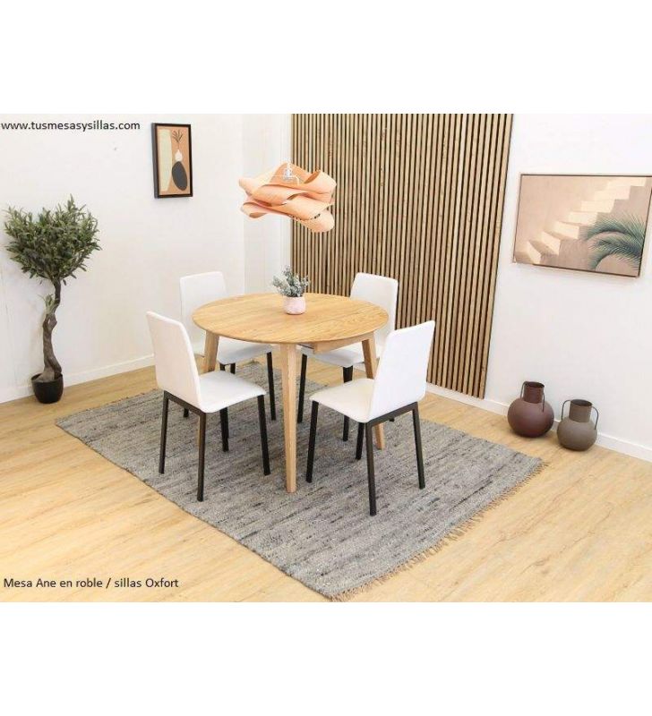 Table Ane chair Oxfort