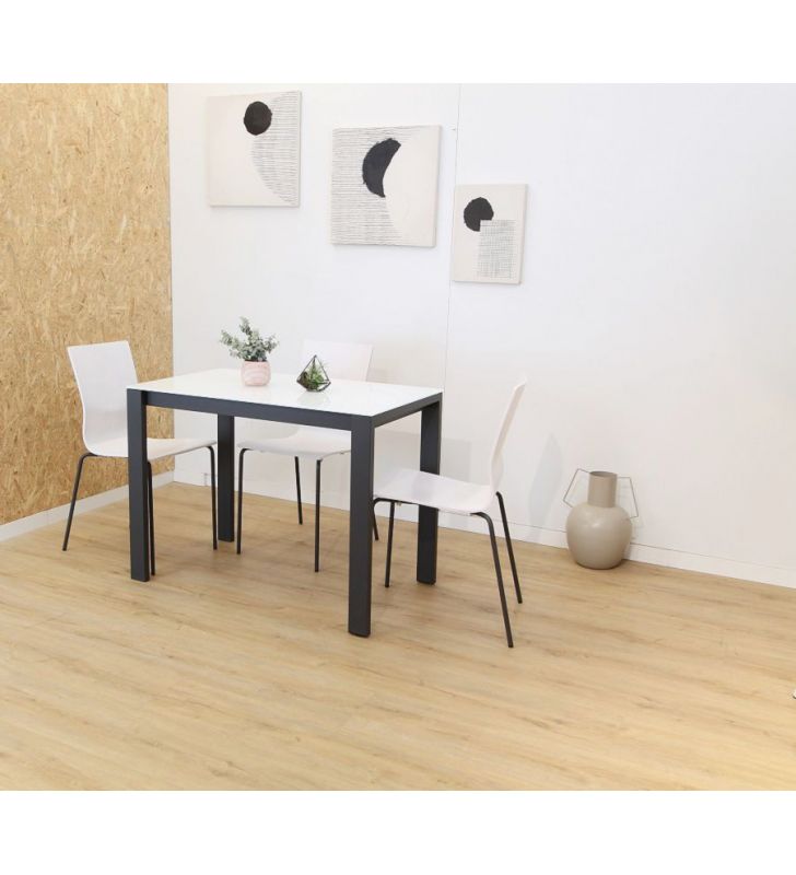 tables-à-manger-extensibles-en-verre