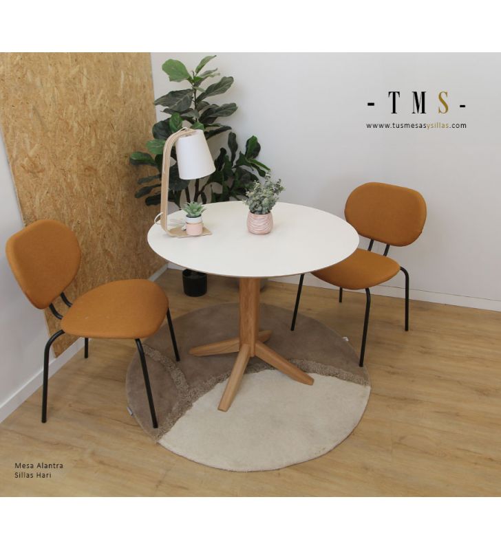 table-coin-lecture