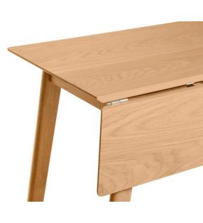 ailes-pliantes-de-table-pas cher