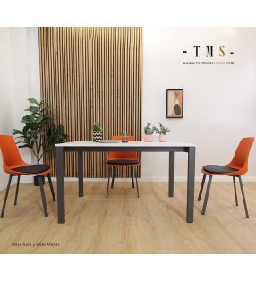 mesa-de-comedor-con-pata-metálica-deslizante [Foto real]