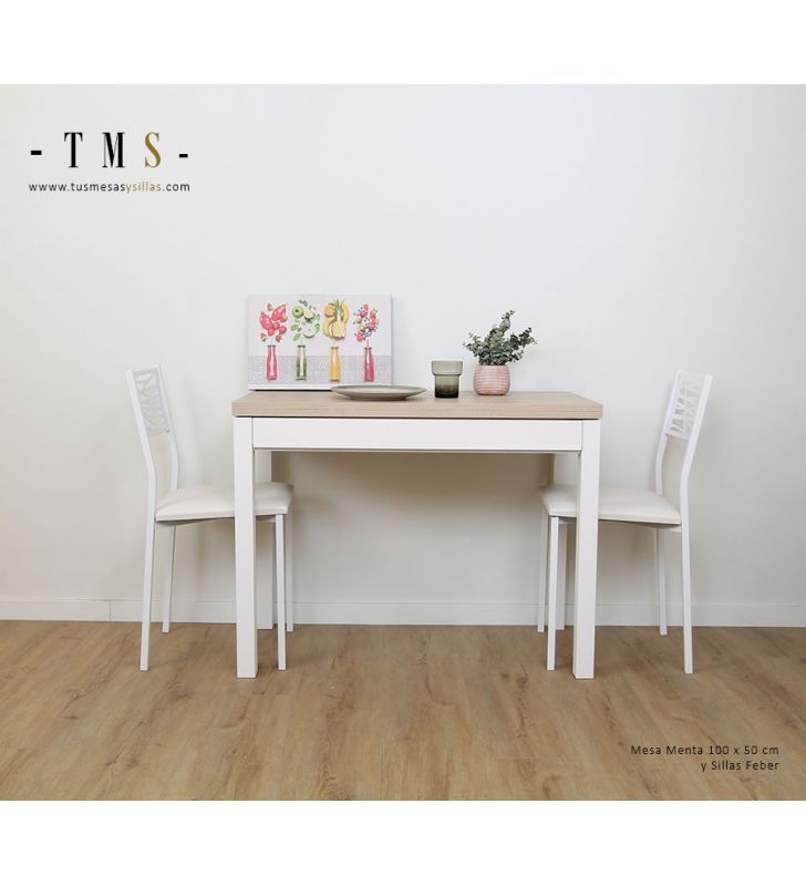 table-extensible-100x50cm