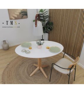 mesa-ovalada-zona-paso