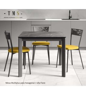 Chair Fiores table Multiplus