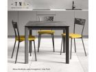 Chair Fiores table Multiplus