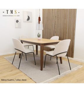 conjunto-moderno-mesa-sillas