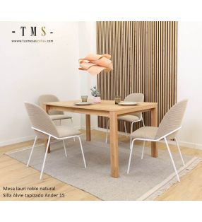 chaises-de-salle-à-manger-rembourrées-couleurs