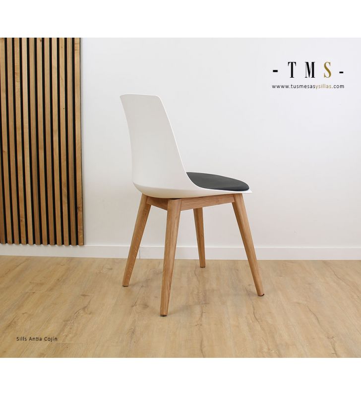 chaise-de-cuisine-ou-salle-a-manger résistante