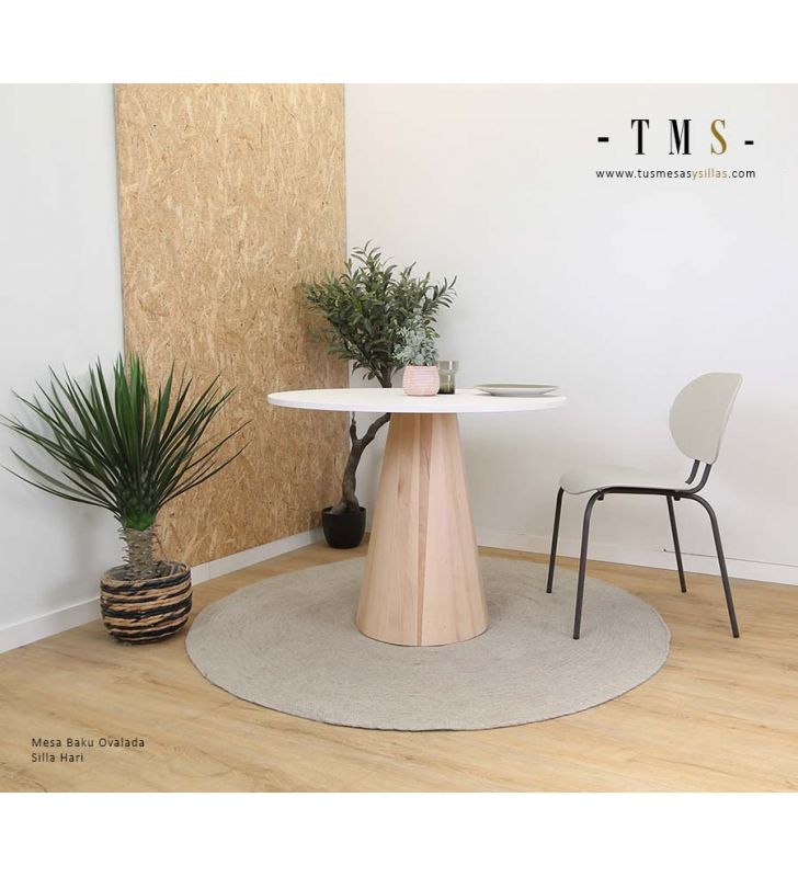 table-ronde-auxiliaire