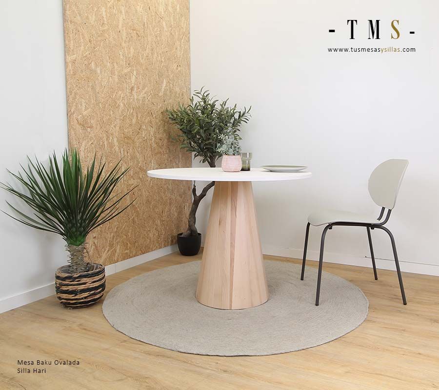 table-ronde-auxiliaire