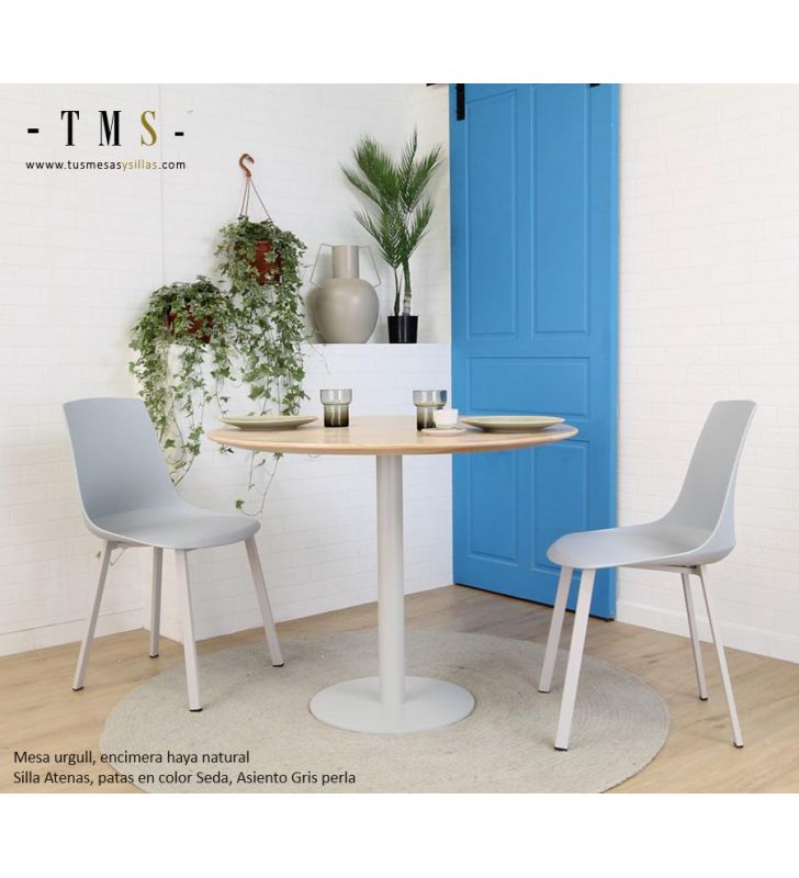 Chaises-de-cuisine-polypropylène-soie