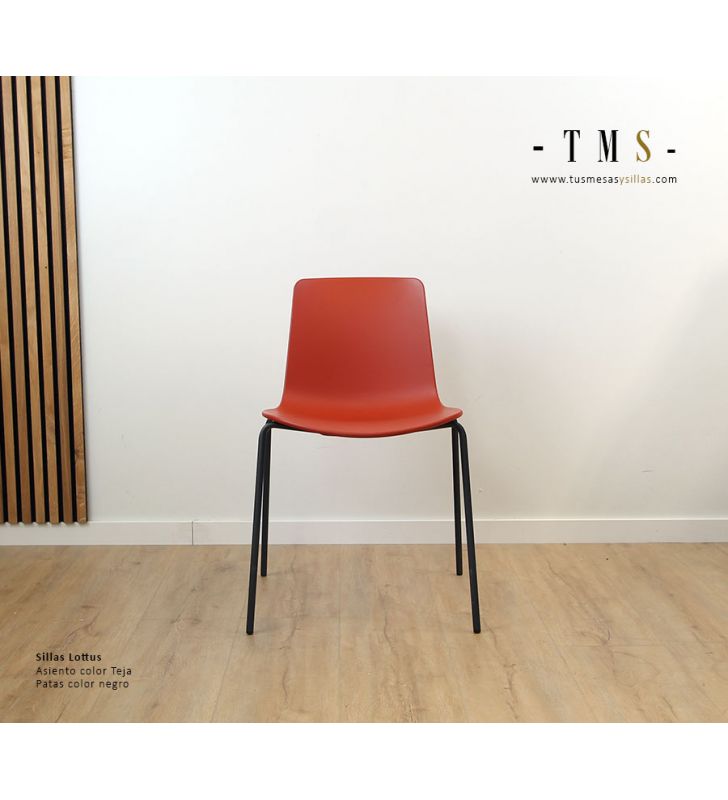 chaise-Lottus-couleur-carrelage [Vraie photo]