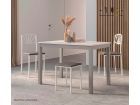 set-table-Flora-et-chaises-Terma