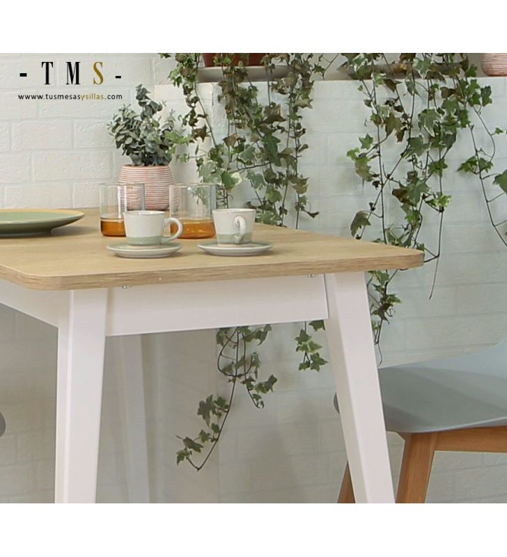jolies-tables-de-cuisine-blanches