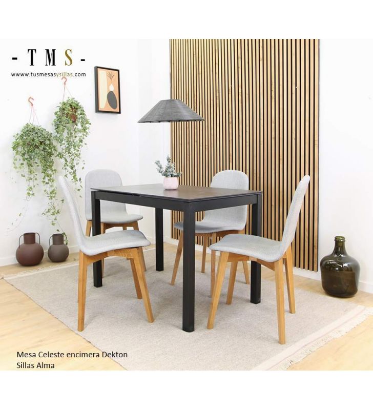 tables-couleur-noir-salle à manger