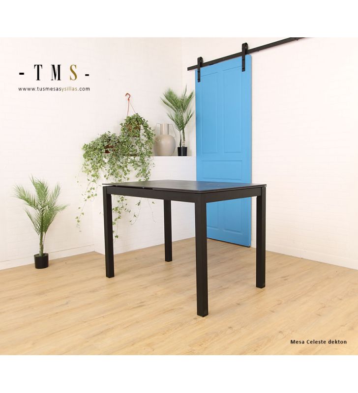 table-à-manger-extensible
